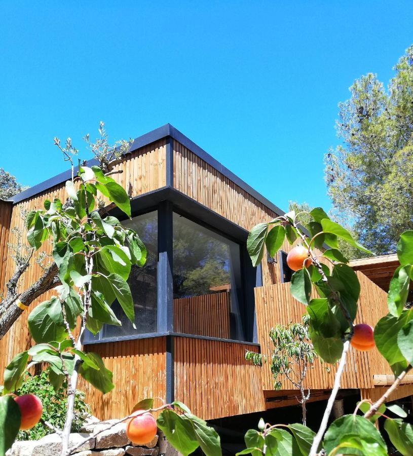 Villa Occitana Calvisson Εξωτερικό φωτογραφία